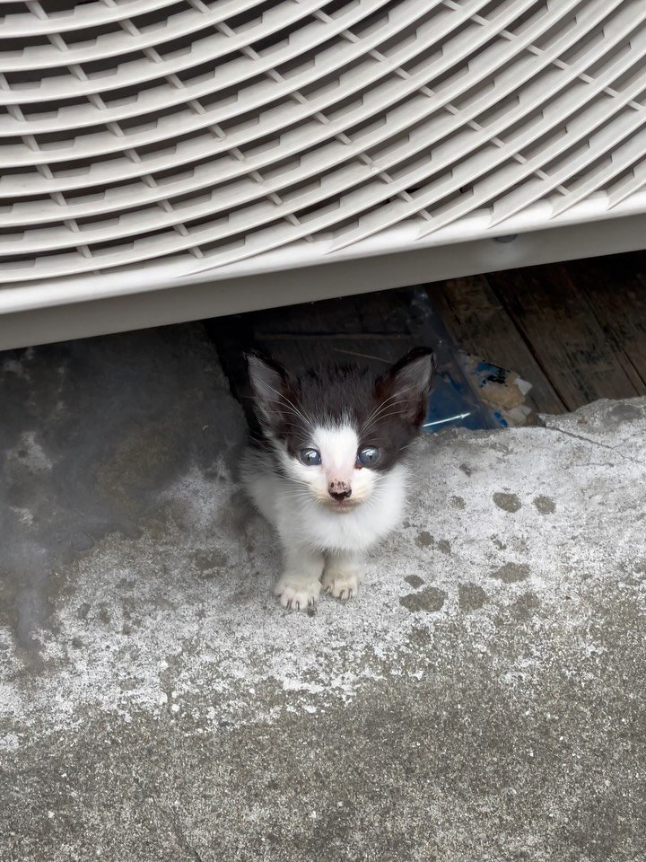 luv5ic 게시물 이미지: 정말 대화를 하고 있다고 느껴졌던 순간

어떤 의도도 없이 
순수한 기분만 앞에 두고
그렇게,