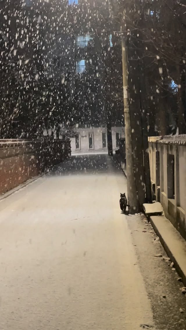 luv5ic 게시물 이미지: 2025년을 마무리하며

올해는 달력 사진 설명을 핑계로 한 해의 마무리를 
길게...