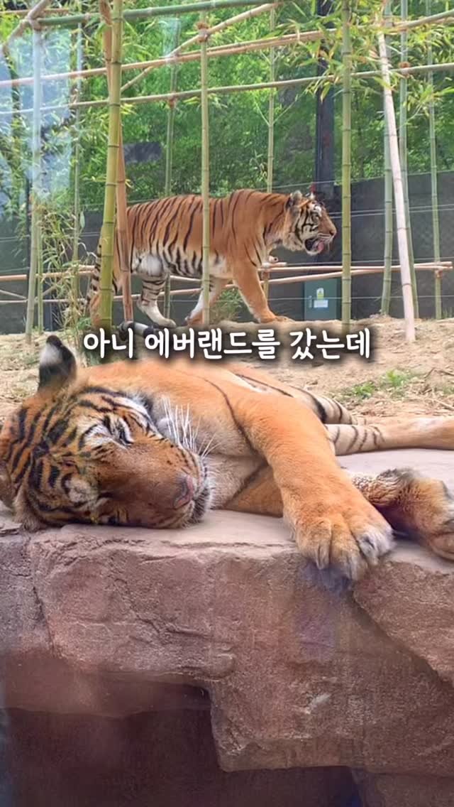 luv_ddiddi 게시물 이미지: 헤드 조절 마음대로 안되서 각도별로 리모컨조절하고
툭하면 고장나고, 세척하기 힘들던...