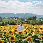 lol_travel 프로필 사진