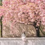 5959jessica 프로필 사진