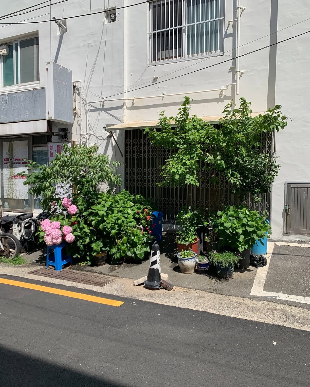 Photo by @제영 on June 28, 2025. May be an image of parking meter, street, telephone pole, curb and text.