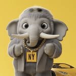 nymammoth 프로필 사진
