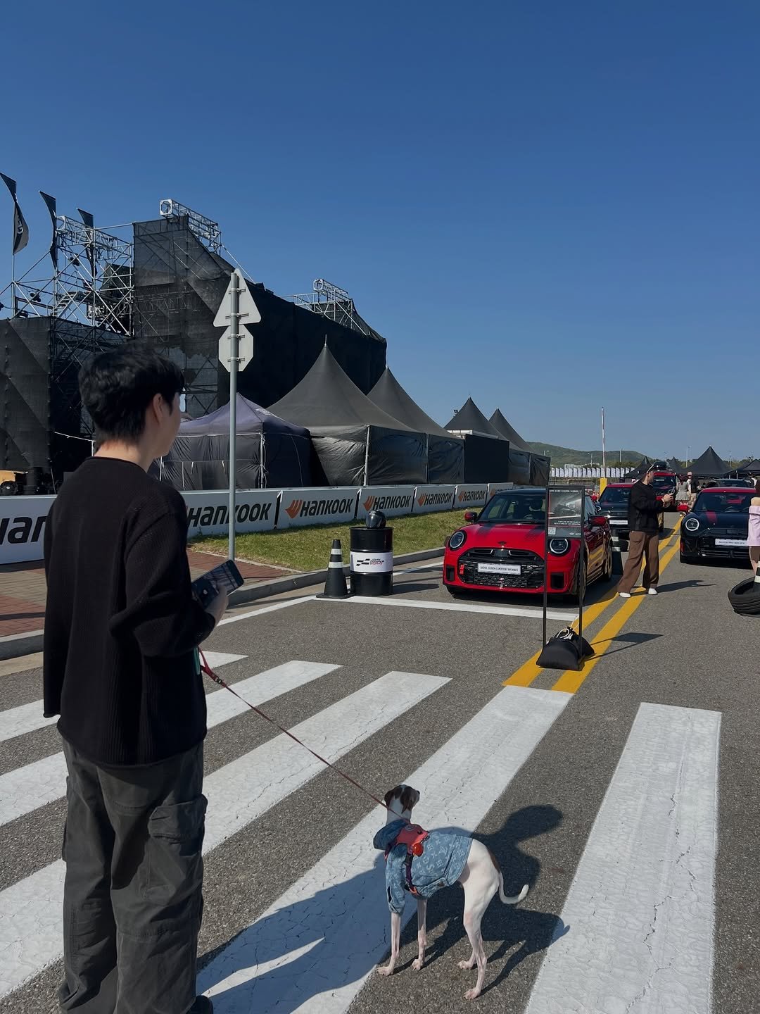 Photo by 전 정수 on April 26, 2026. May be an image of Bedlington terrier, car, road, street, curb and text.