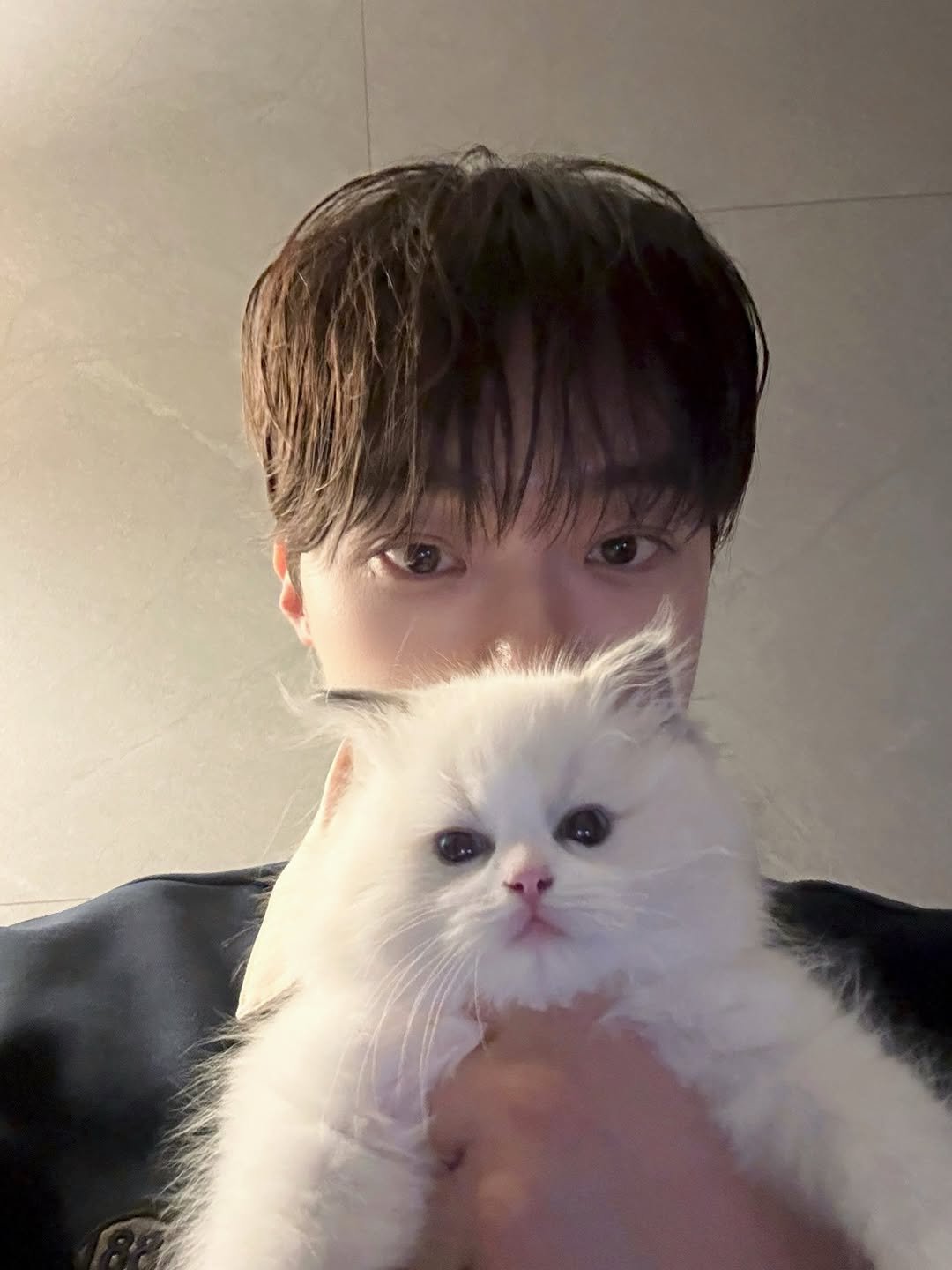 Photo by 지 훈 on April 05, 2026. May be an image of ragdoll cat, Persian cat, kitten and text.