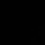 bradley_dls 프로필 사진