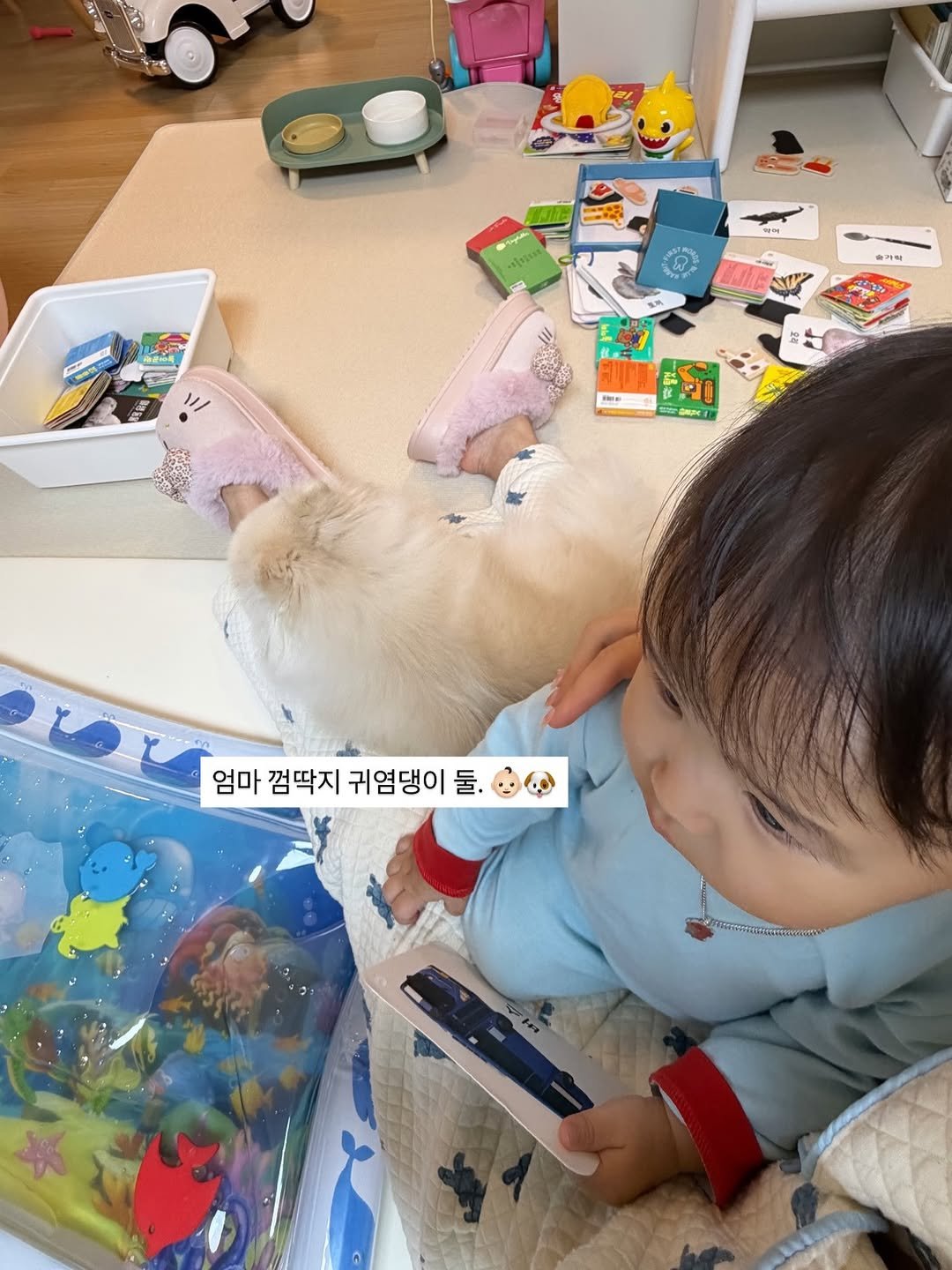 Photo by 문선우 ʚïɞ on January 11, 2026. May be an image of child, dollhouse, lego and text.