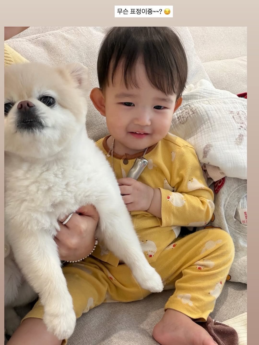 Photo by 문선우 ʚïɞ on February 23, 2026. May be an image of baby, Pekinese and text that says '무슨 표정이좋~~?'.