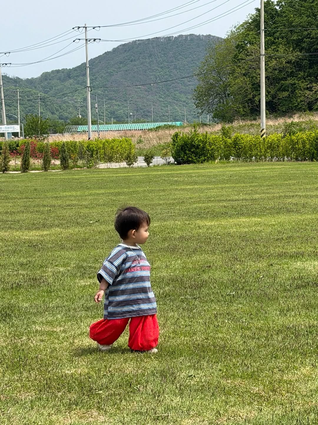 m_sseonu 게시물 이미지: 👶🏻🐶♥️