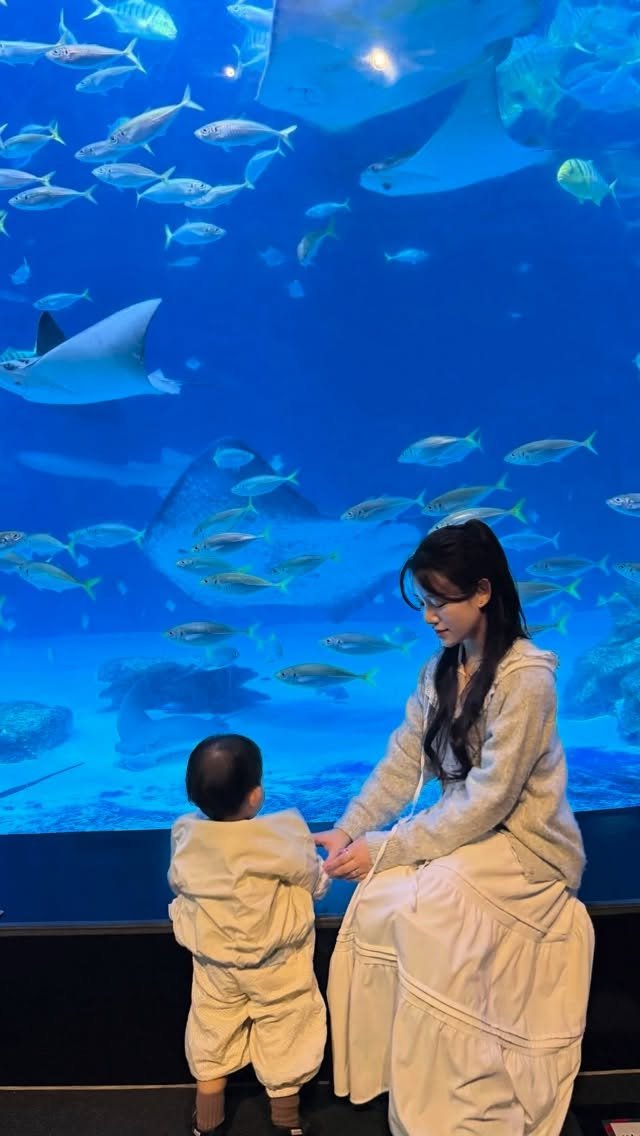 m_sseonu 게시물 이미지: 🦋👶🏻🦋