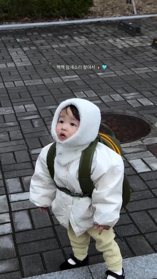 m_sseonu 게시물 이미지: 밖에 나오면 하늘부터 바라보는 선우 🥰 귀여워 ˃ᴗ˂ 🩵💛🩵💛
모든게 신기한가봄...