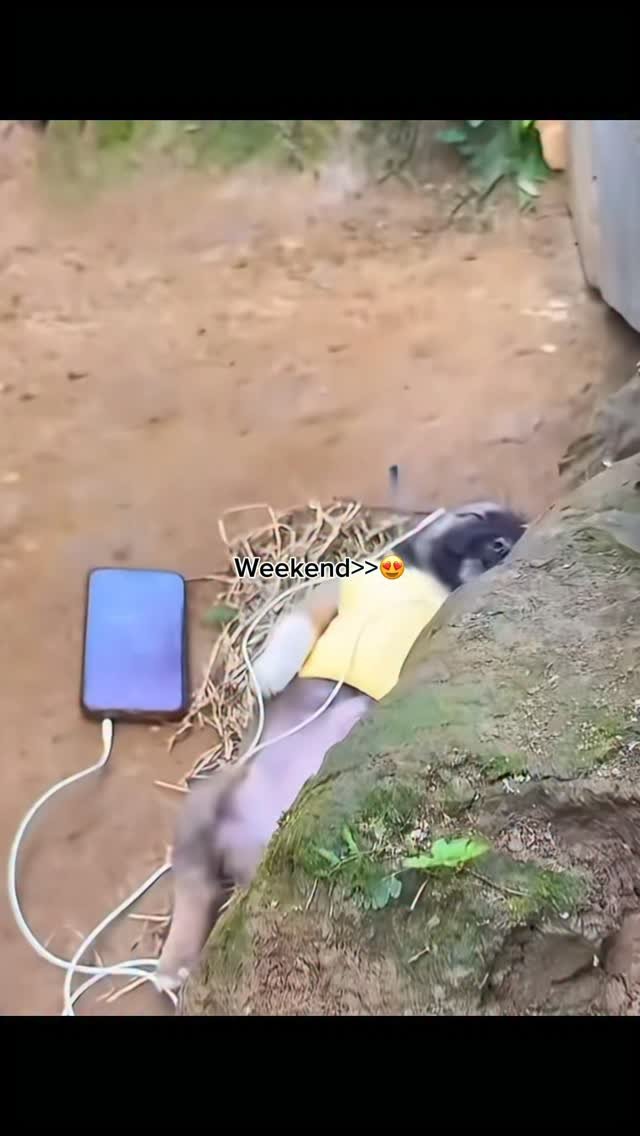 madara_dusal 게시물 이미지: Another Weekend 😍 Song: “FriendZone” by Madara Dusal 🔥