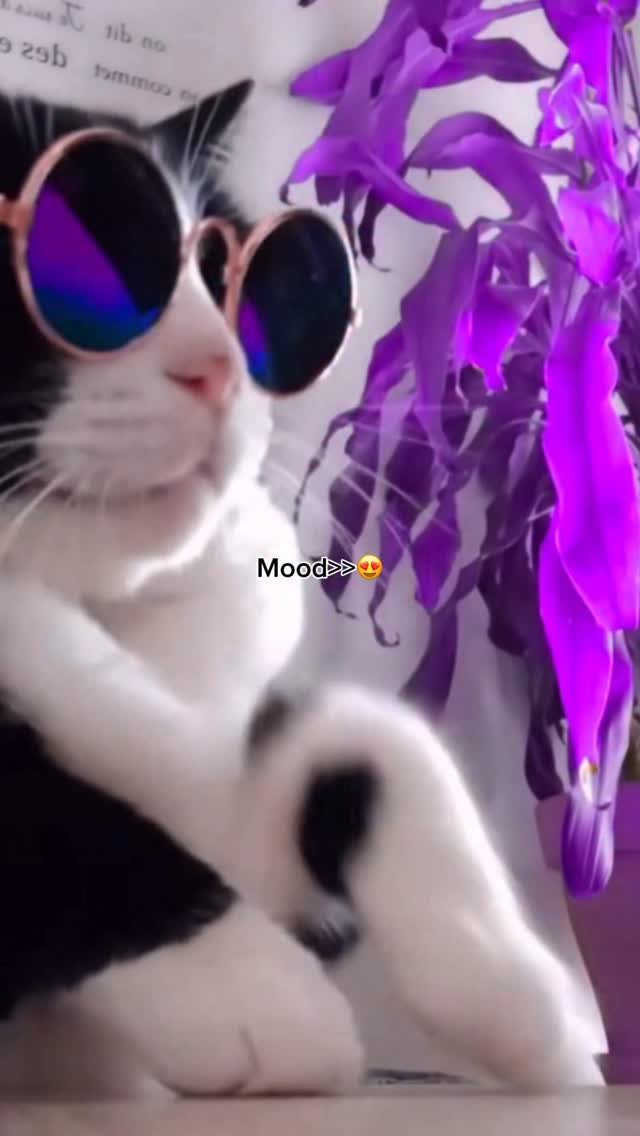 madara_dusal 게시물 이미지: Song: “FriendZone” by Madara Dusal 😍🔥