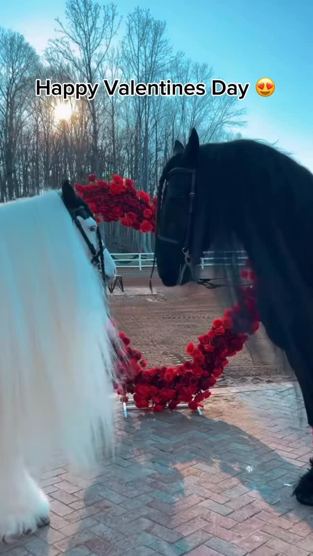 madara_dusal 게시물 이미지: Happy Valentine’s Day 😍 Song: “Falling” by...