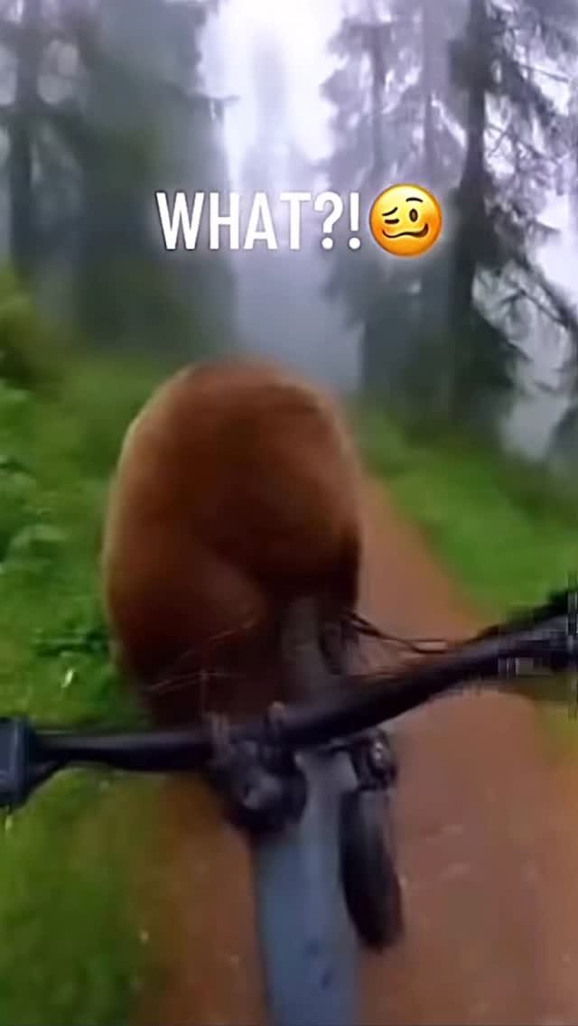 madara_dusal 게시물 이미지: 🤣🤣🔥Song: “FriendZone” by Madara Dusal 🔥