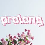 prolongwig 프로필 사진