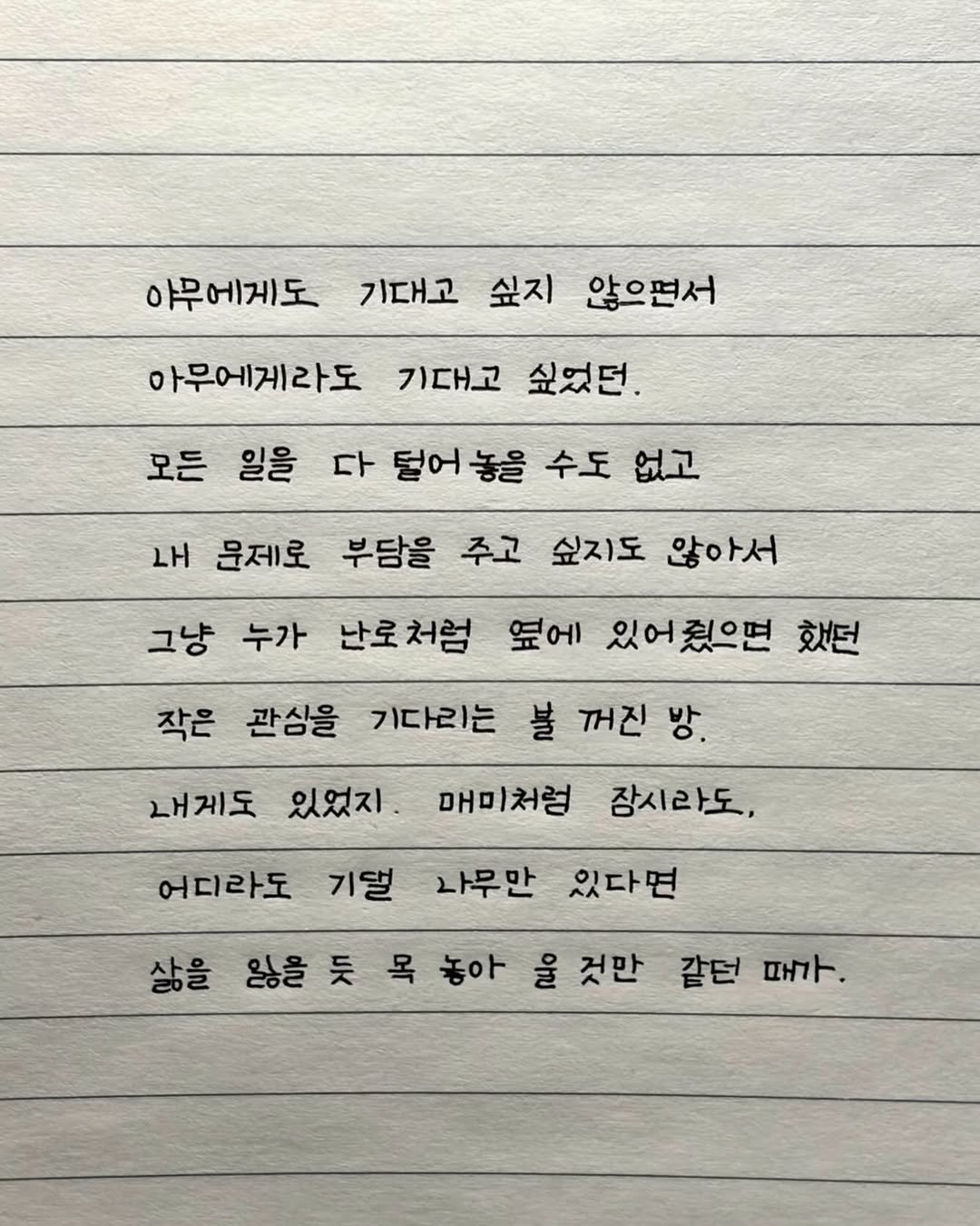 Photo by 이도훈(맺음) on April 21, 2026. May be an image of text that says '아무에게도 기대고 싶지 않으편서 아무에게라도 기대고 싶었던. 모든 일을 다 덜어놓을 수도 없고 LH 문제로 부담을 주고 싶지도 않아서 그냥 누가 난로처럼 옆에 있어줬으면 했던 작은 관심을 기다리는 불 꺼진 방 내게도 있었지. 매미처럼 장시라도, 어디라도 기댈 나무만 있다면 삶을 잃을듯목놓아 않을 듯 목 놓아 울 것만 갈던 때가.'.