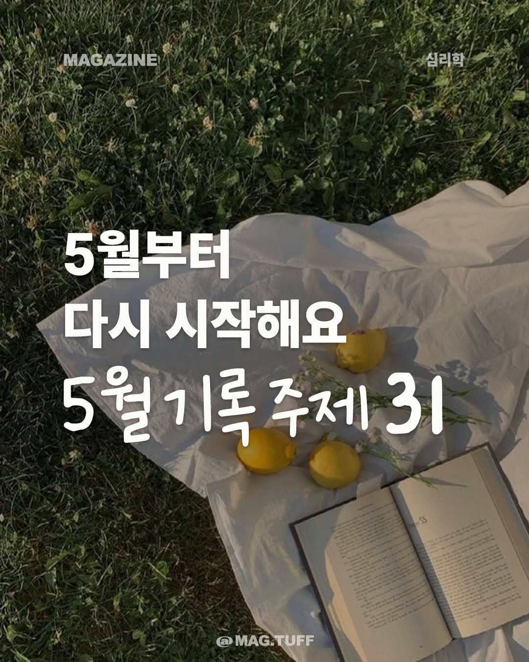 mag.tuff 게시물 이미지: 초여름의 시작과 함께 매일 기록하는 5월 주제🌱

5월에는 진짜 해보기! 이미지...