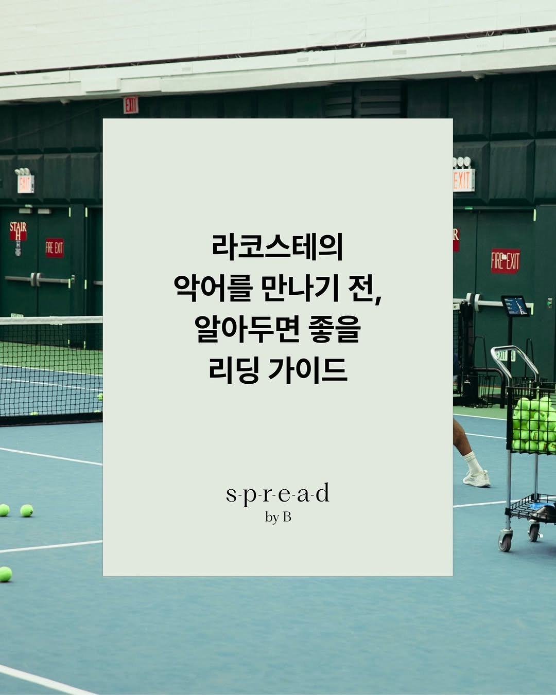 magazine.b 게시물 이미지: [SPREAD by B | RELEASE] 라코스테의 악어를 만나기 전, 알아두면...