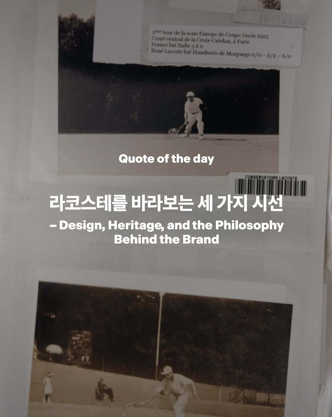 magazine.b 게시물 이미지: [Quote of the day] 라코스테를 바라보는 세 가지 시선...