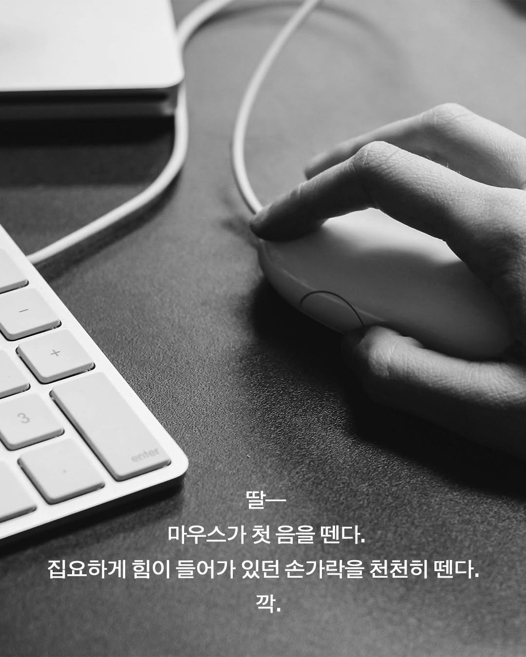 Photo shared by 창비 on February 11, 2026 tagging @magazine.changbi. May be an image of computer keyboard and text that says '3 enter 딸- 마우스가 첫 음을 땐다. 집요하게 힘이 들어가 있던 손가락을 천천히 펜다. 깍.'.