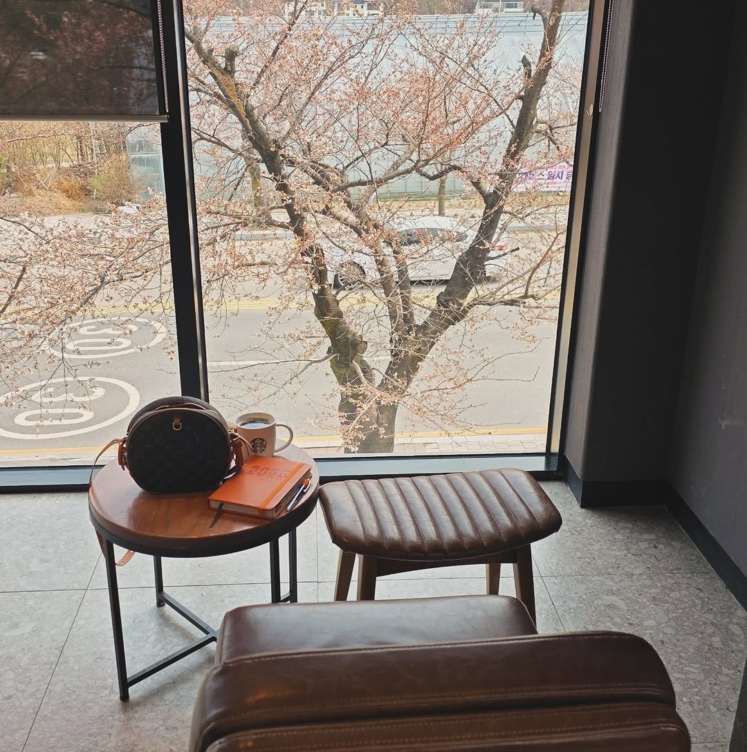 Photo by 지니의마법서재 ❤️언제나 응원해 on April 02, 2025.