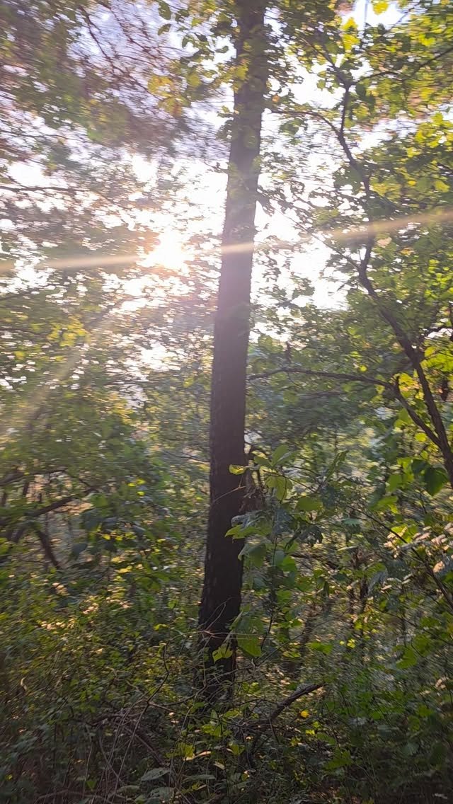 magic_ji_ni 게시물 이미지: 햇빛 아름다운 가을 등산^^* 
이번 가을이 짧다는 말에
저는 날씨 좋으면 산으로...