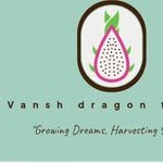 vanshdragonfruit 프로필 사진