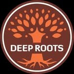 deeprootsindore 프로필 사진