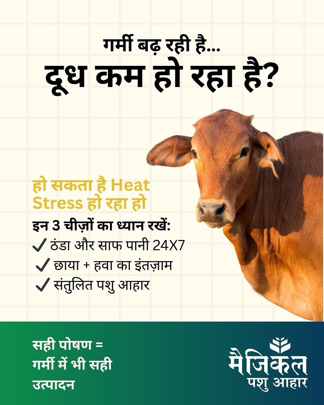 magicalfeeds_ 게시물 이미지: गर्मी में पशु का दूध कम होना आम बात नहीं...