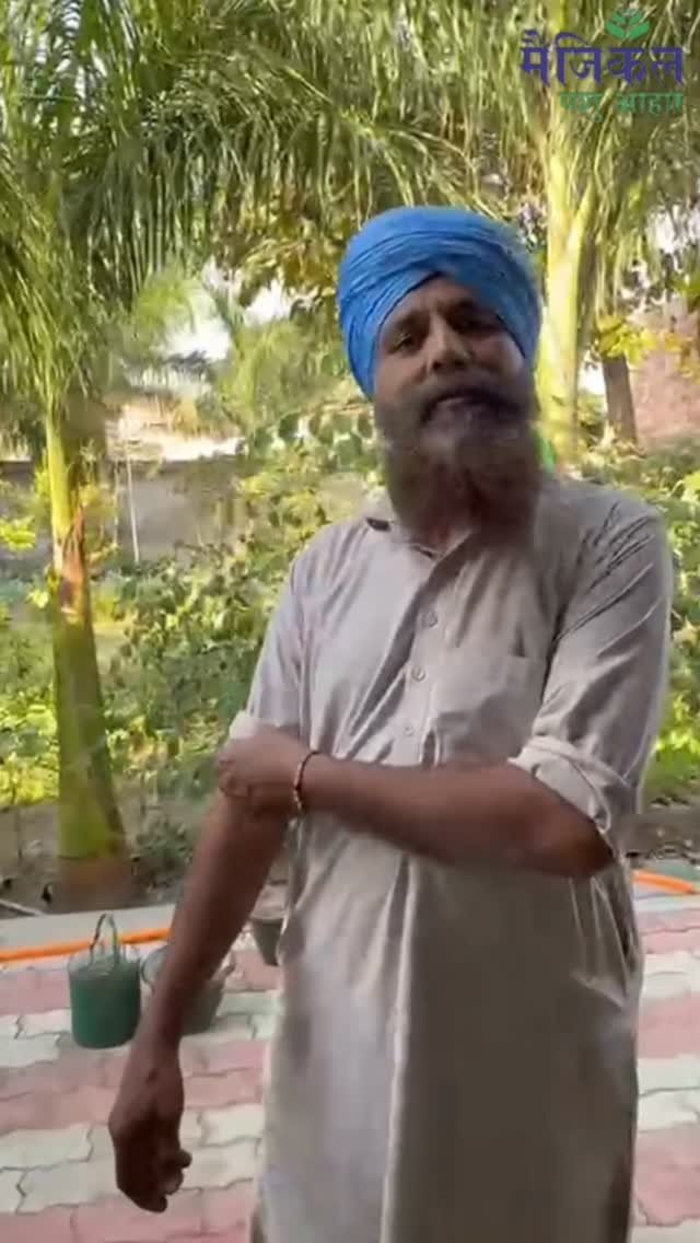 magicalfeeds_ 게시물 이미지: Magical Diamond शुरू किया…
पशु ने खाना...