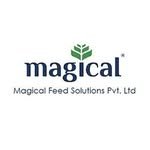magicalfeeds_ 인스타그램 프로필 사진