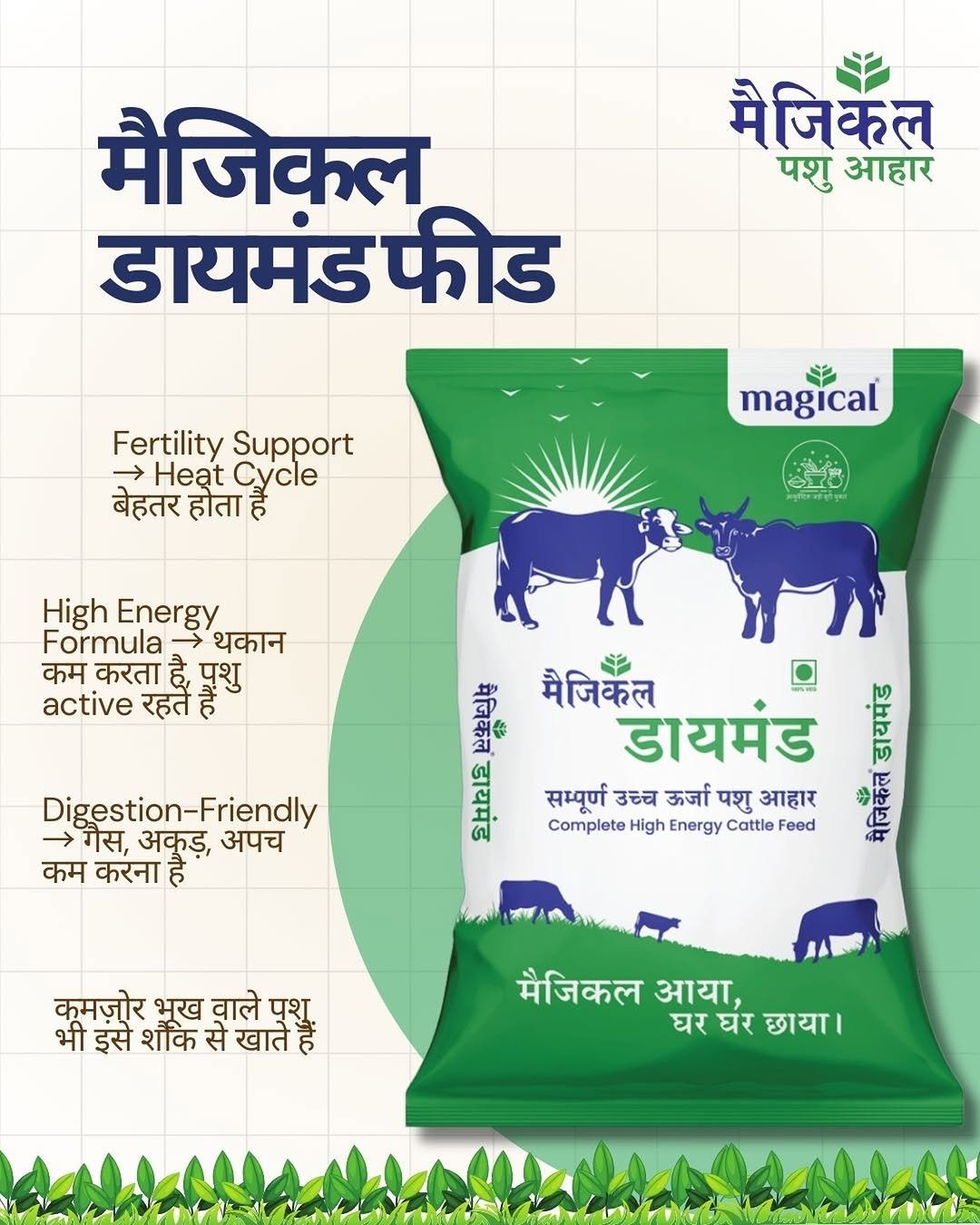 पशु आहार जिससे पशु का दूध बढ़े 
पशु आहार हीट साइकिल के लिए 
Pashu khana nahi kha raha h 
Best cattle feed to improve cattle’s health