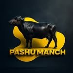 pashumanch 프로필 사진