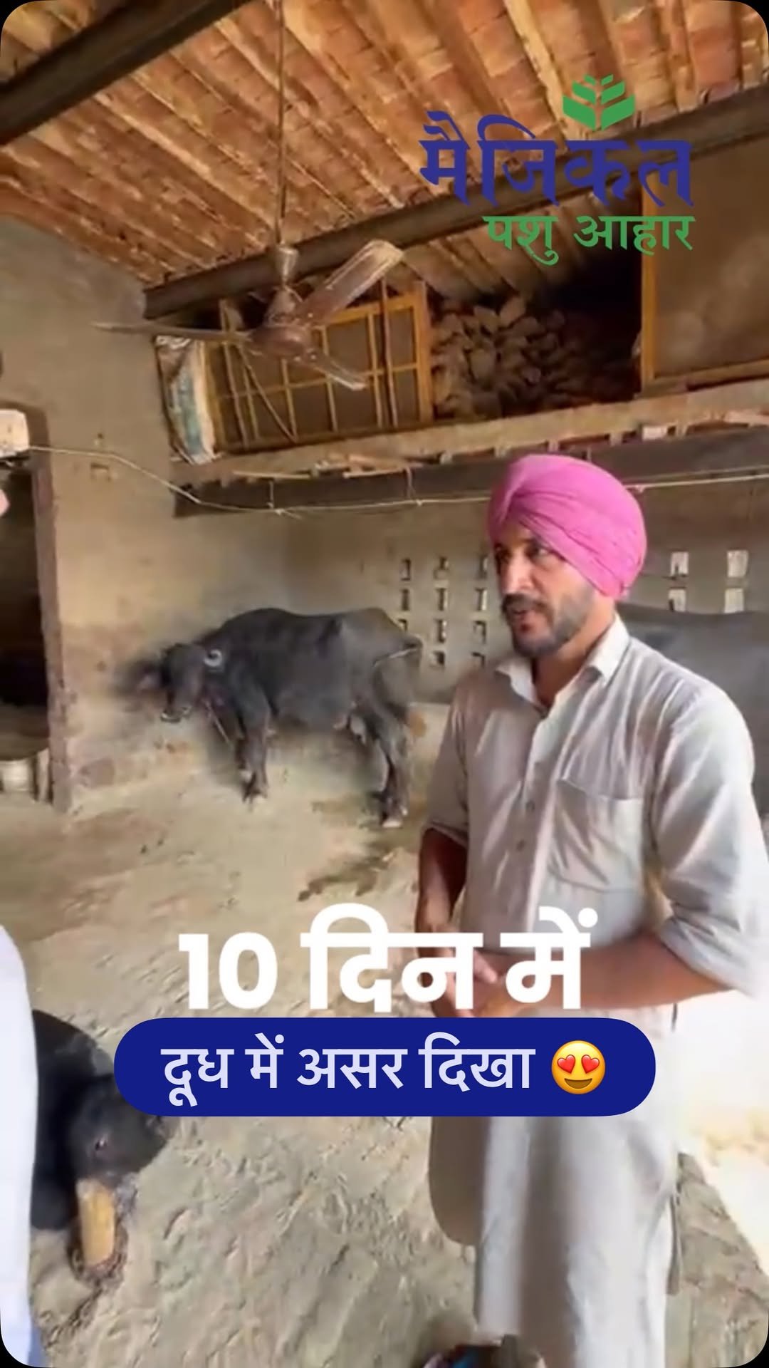 magicalfeeds_ 게시물 이미지: 10 दिन में फरक दिखा 😍! 
10 दिन में हूँ दूध...