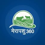 merapashu_360 프로필 사진