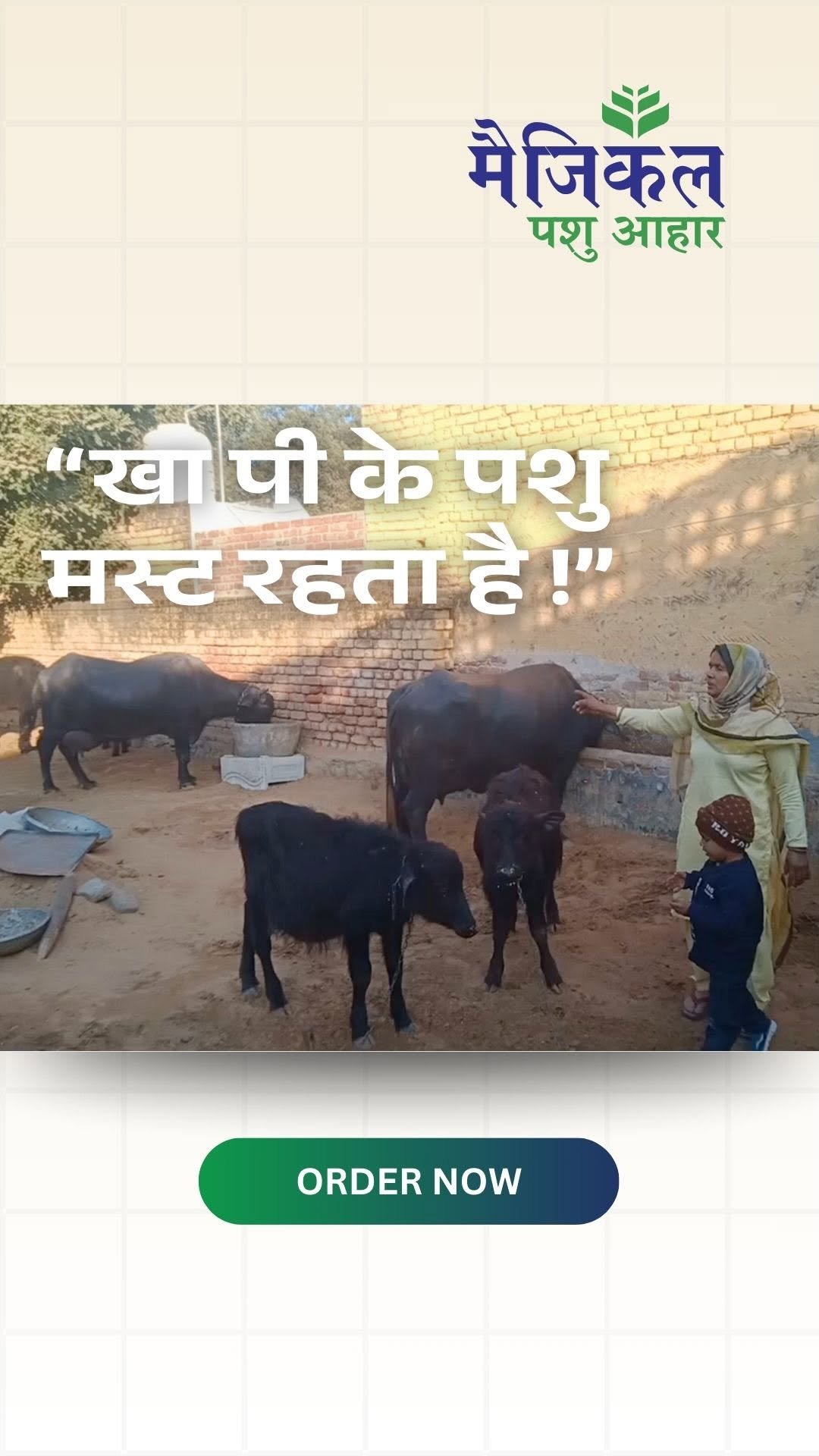 magicalfeeds_ 게시물 이미지: जिसने भी ट्राय किया, वही इसका फैन बन गया।
अब...