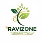 ravizonenurserywala 프로필 사진