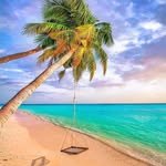 seabeachaddicted 프로필 사진