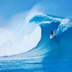 worldsurfers 프로필 사진