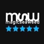 magicseaweed 인스타그램 프로필 사진