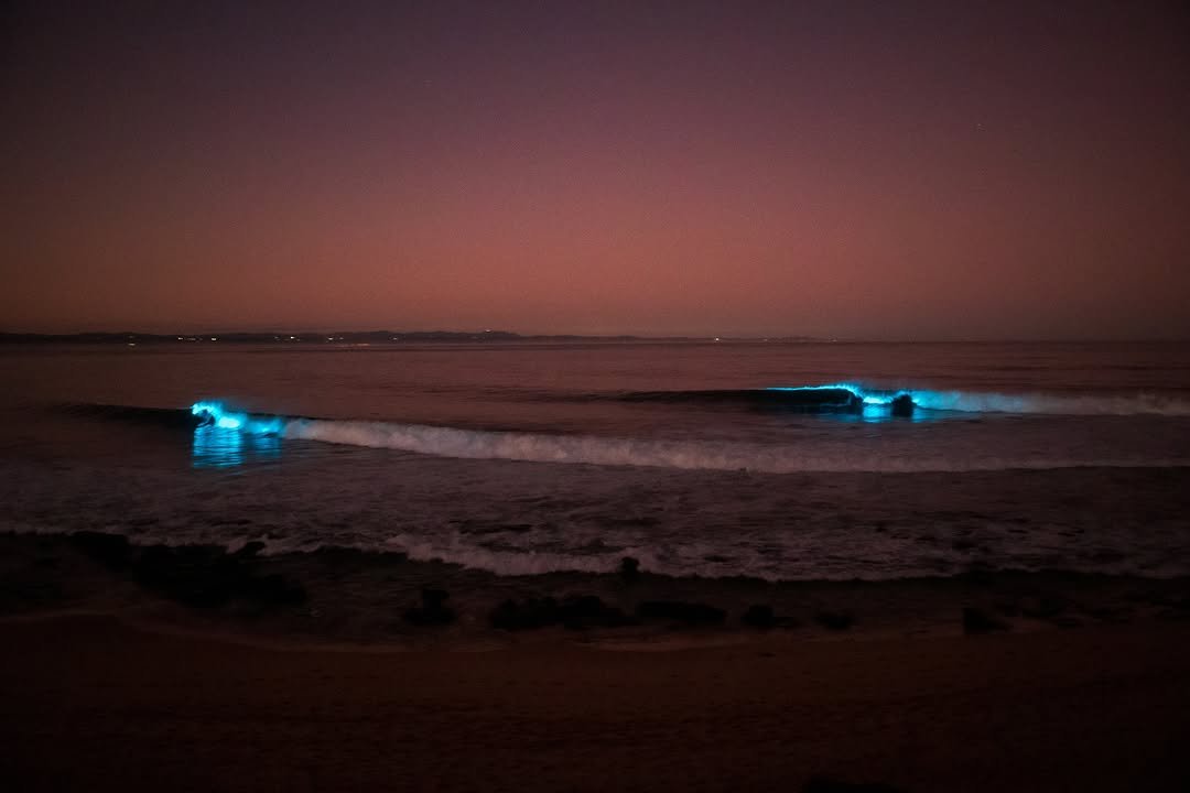 Photo by magicseaweed on May 15, 2023.