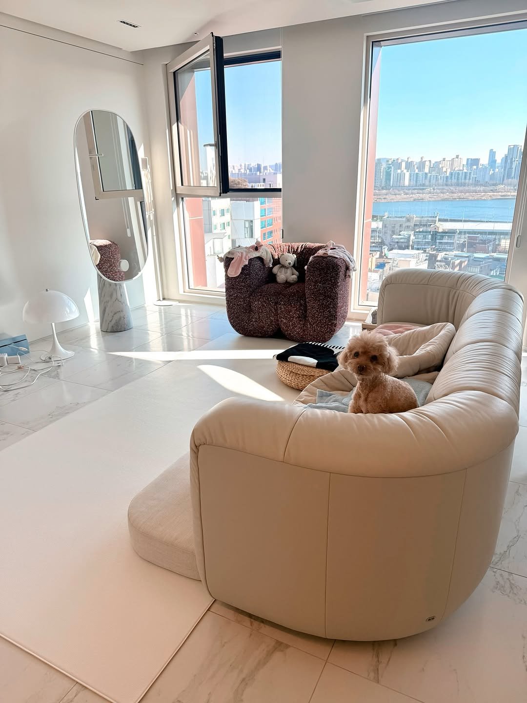 Photo by 매그니유/ 규리 Wellness Gyuri on February 07, 2026. May be an image of Maltese, living room and indoors.