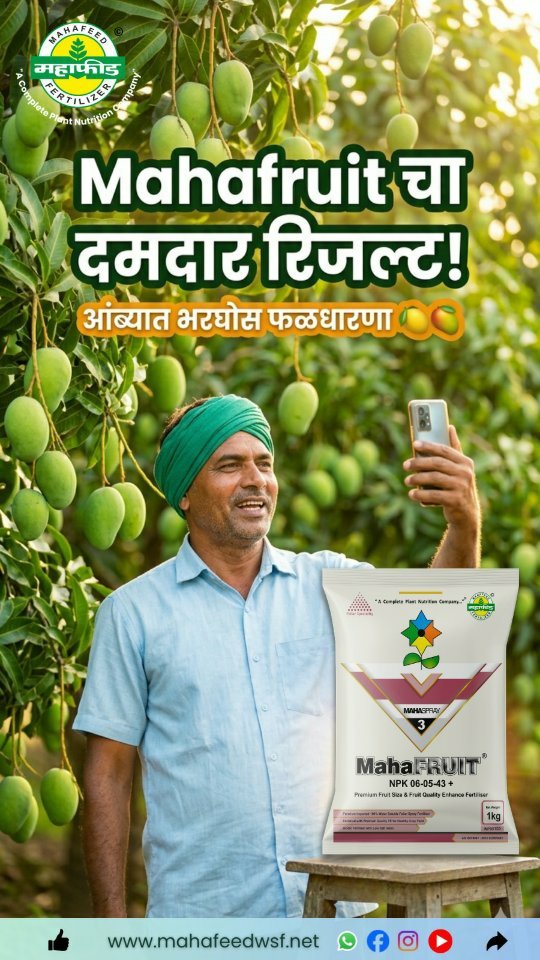 mahafeedfertilizers 게시물 이미지: 🟢 MahaFruit
NPK (06-05-43+)
फळांच्या वाढीचा...