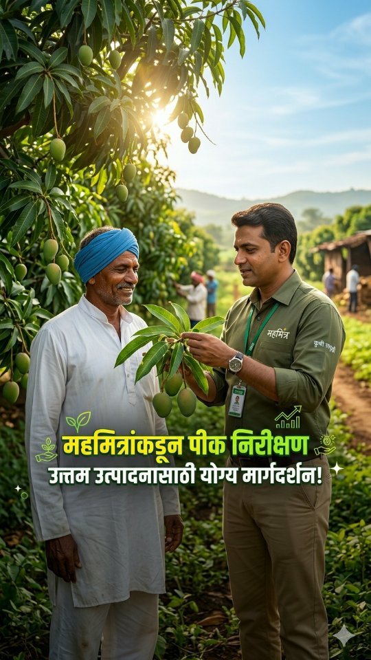 mahafeedfertilizers 게시물 이미지: Mahafeed खतांमुळे फळांचा साईज, रंग आणि...
