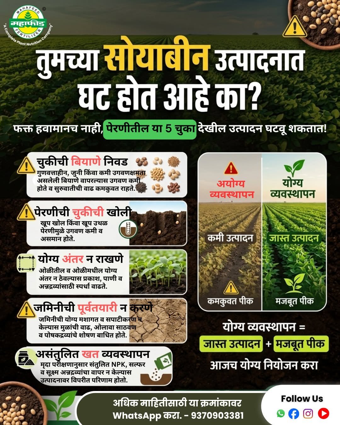 mahafeedfertilizers 게시물 이미지: 🌾 तुमच्या सोयाबीन उत्पादनात घट होतेय...