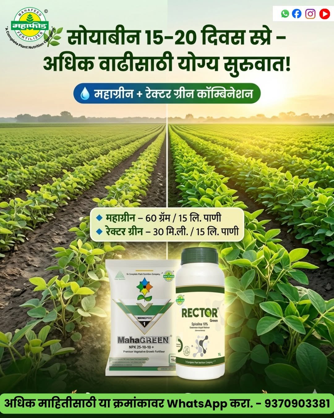 mahafeedfertilizers 게시물 이미지: योग्य नियोजन... योग्य पोषण... आणि भरघोस...