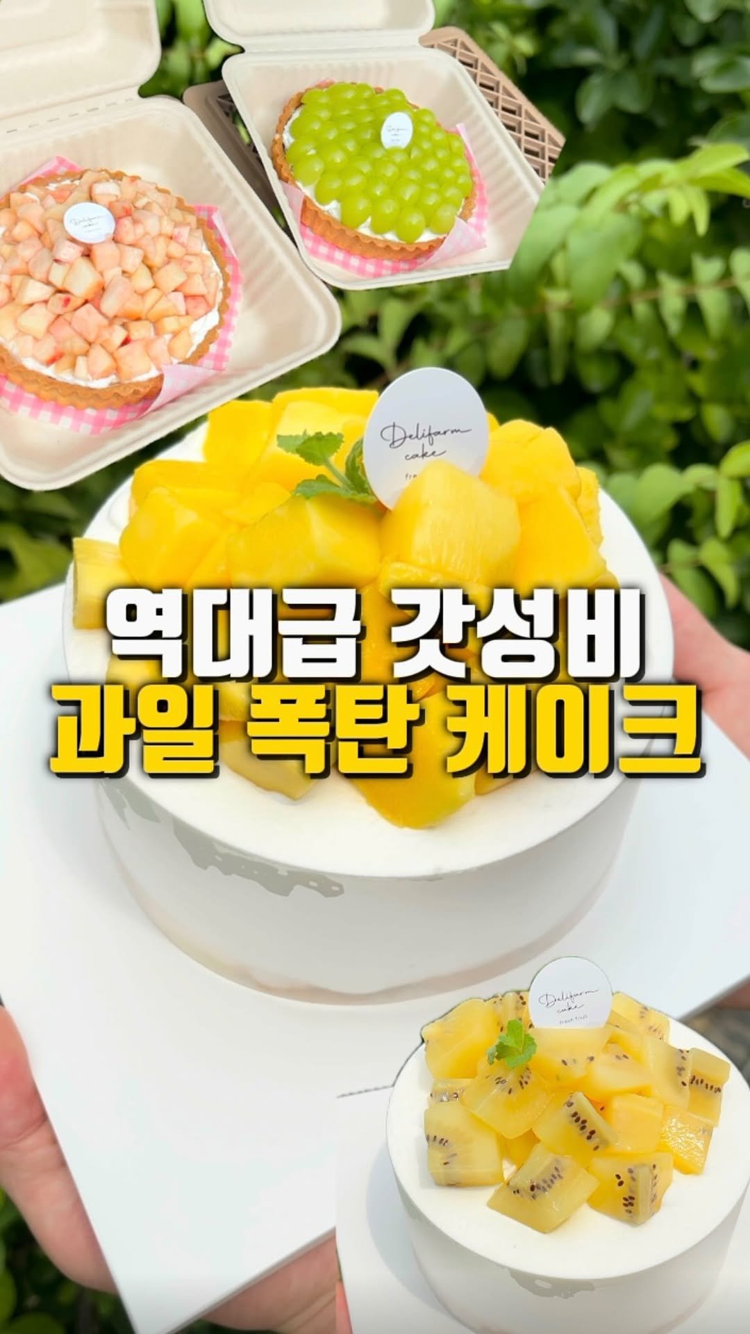mahtgaek_ 게시물 이미지: 100% 예약제로 운영되는 송도 소문난 과일케이크 맛집

🍰 키위케이크 &...