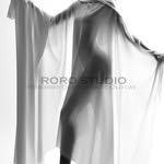 rorostudio___ 프로필 사진