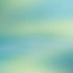 vinra_vinra_ 프로필 사진